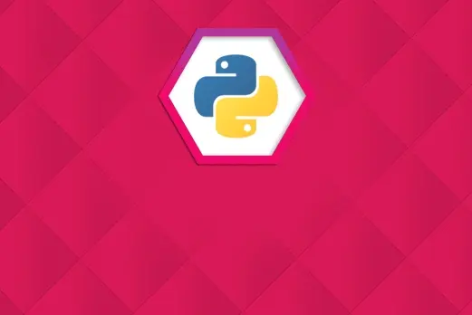 python development course